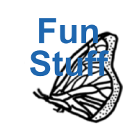 Fun stuff