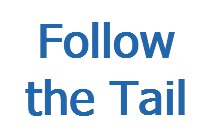 Follow the Tail