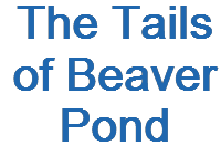 Tails of Beaver Pond